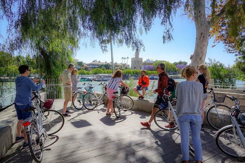 Best of Seville Bike Tour: Top Sights & Hidden Gems 3