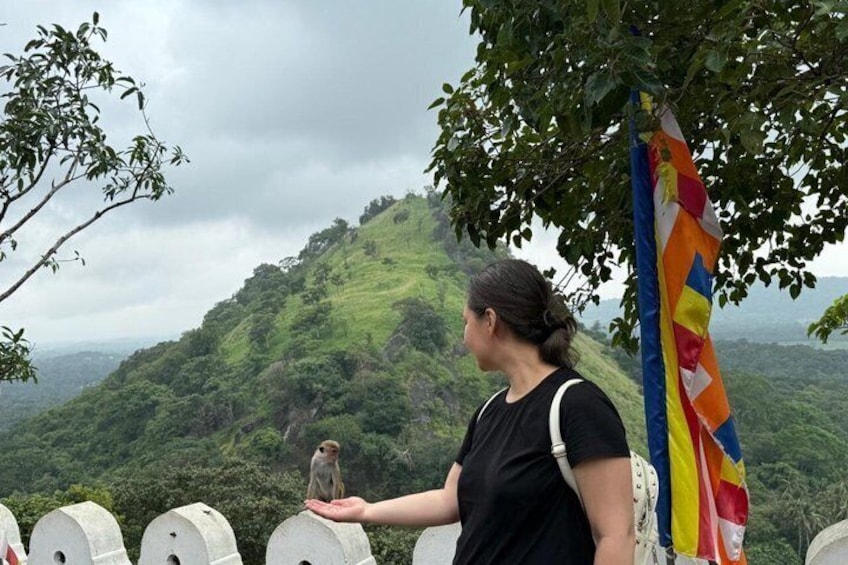 Day tour to Sigiriya,Dambulla & Polannaruwa (3 word heritage places) from Kandy 4