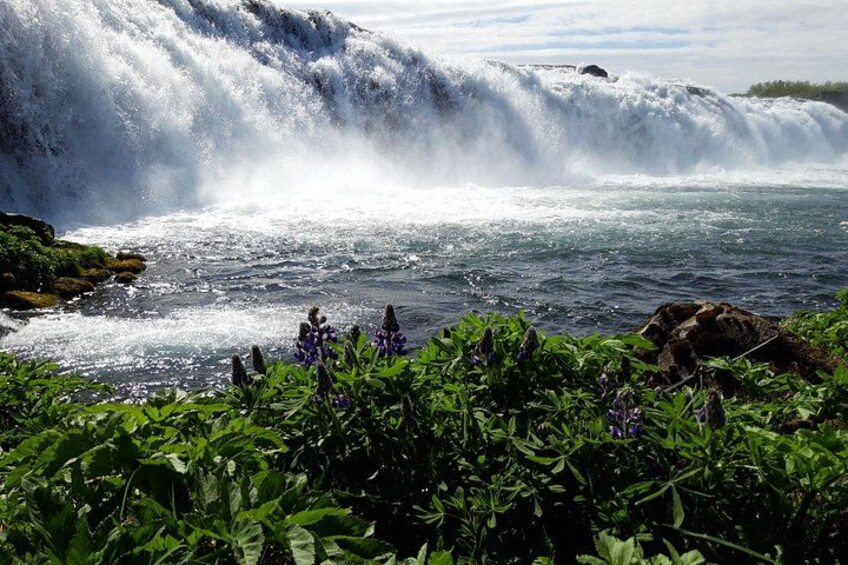 Une cascade, une végétation luxuriante et une rivière. 5