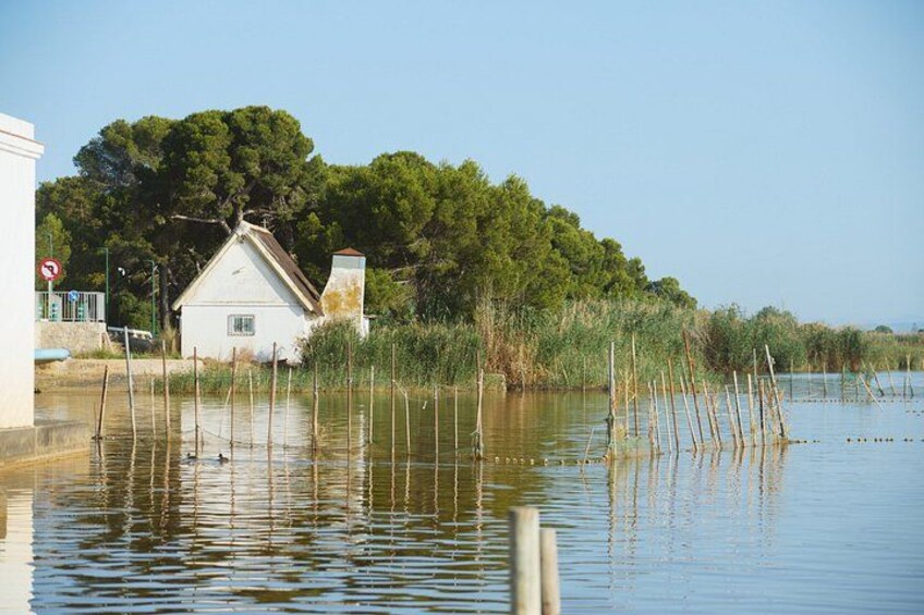 Albufera Natural Park Tour from Valencia: Boat Ride & Local Guide 5