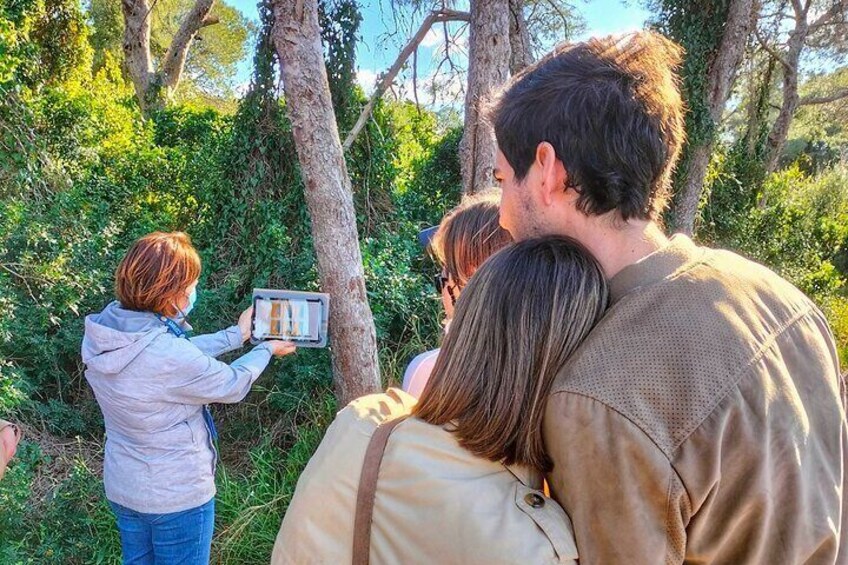 Albufera Natural Park Tour with Boat Ride from Valencia 