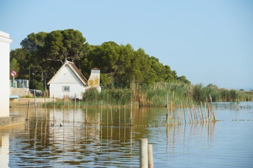 Albufera Natural Park Tour from Valencia: Boat Ride & Local Guide 2