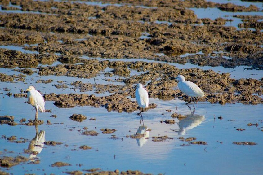 We respect wildlife and its habitat 4