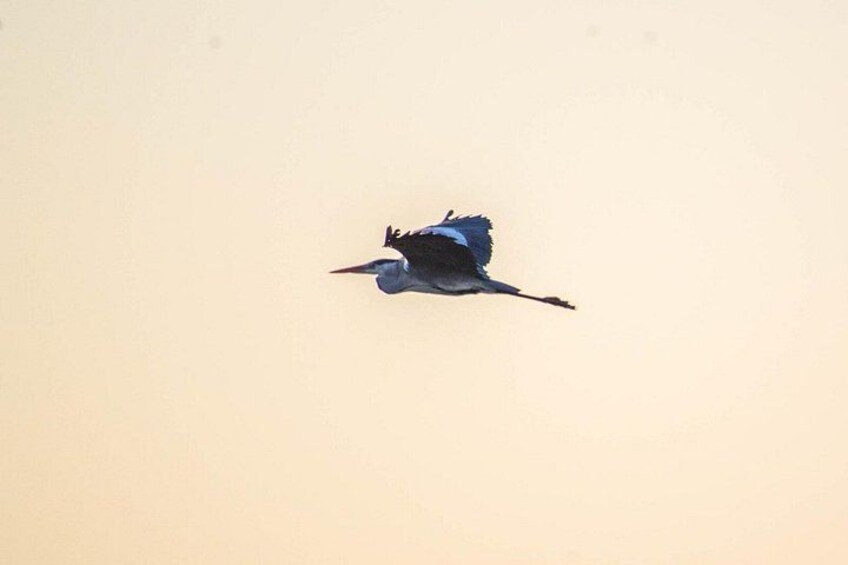We respect wildlife and its habitat 3
