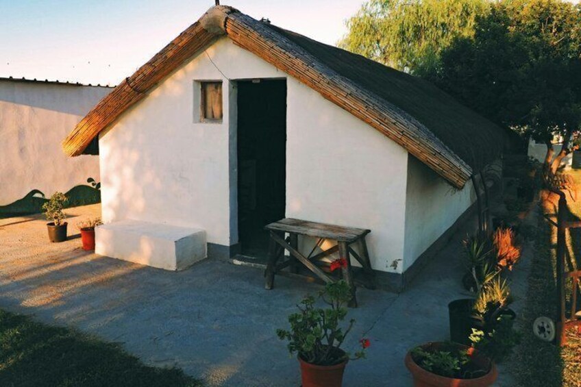 Albufera Natural Park Tour from Valencia: Boat Ride & Local Guide 2