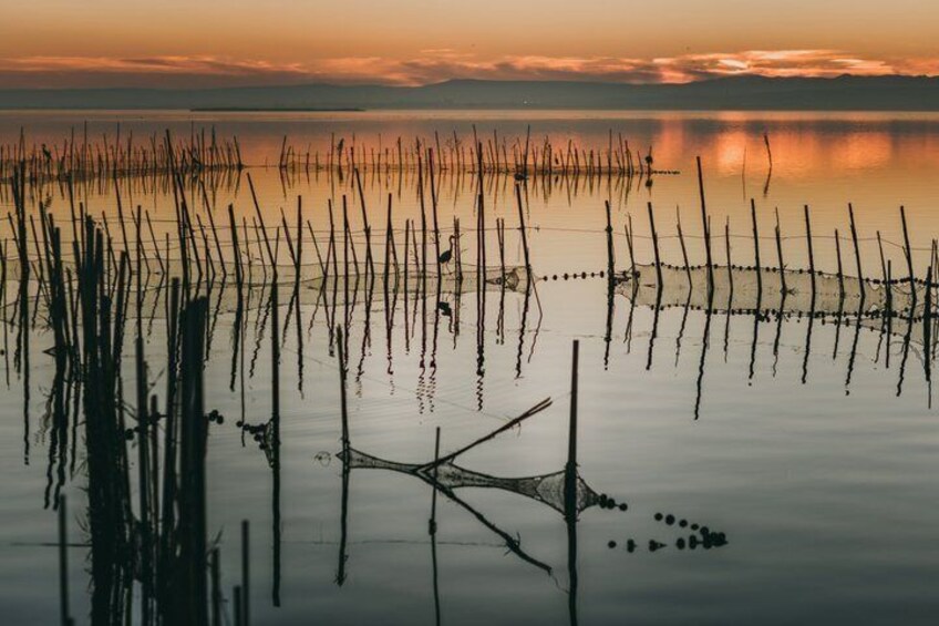 Albufera Natural Park Tour from Valencia: Boat Ride & Local Guide 5