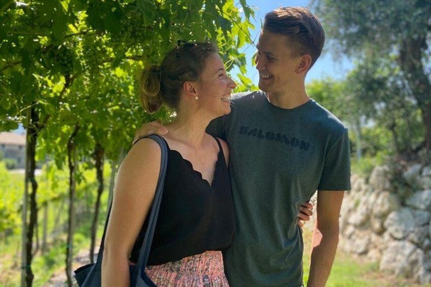 Love is in the vineyards 3