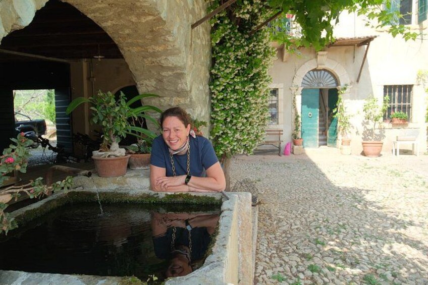 Discover Valpolicella Vineyards and Wine Tasting Experience 2