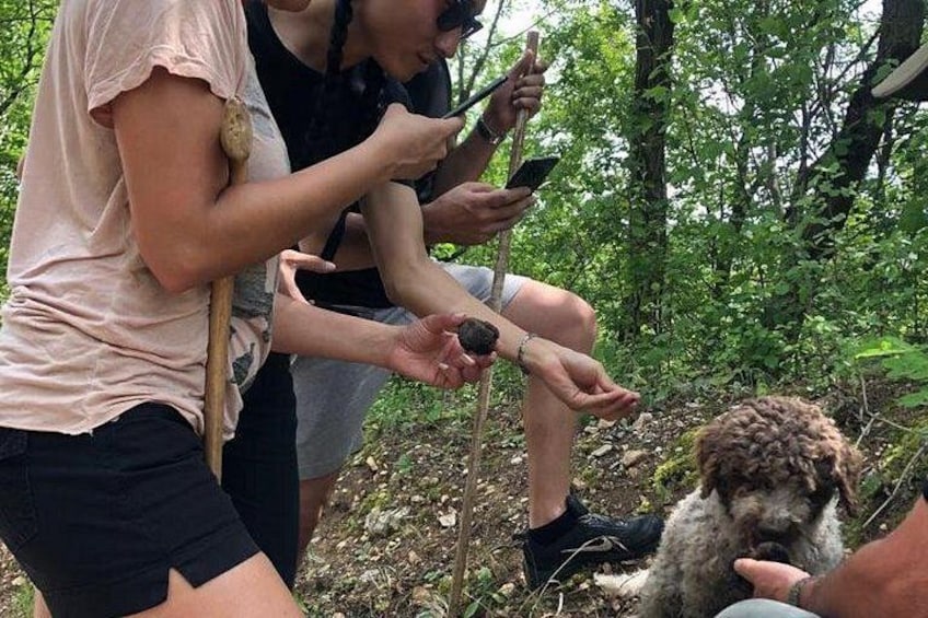 Personas en un área boscosa, una sosteniendo un teléfono inteligente, otra un palo, y un perro cerca. 2