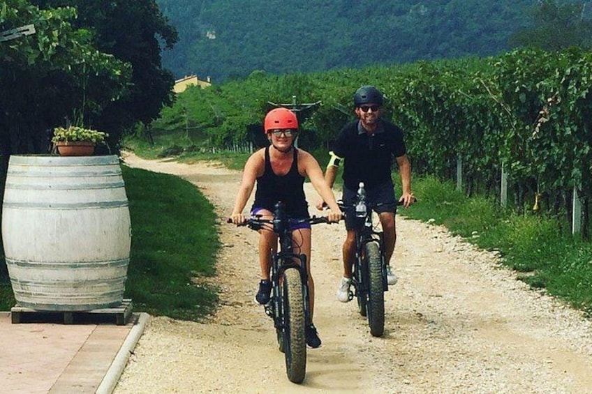 Riding through vineyards 1