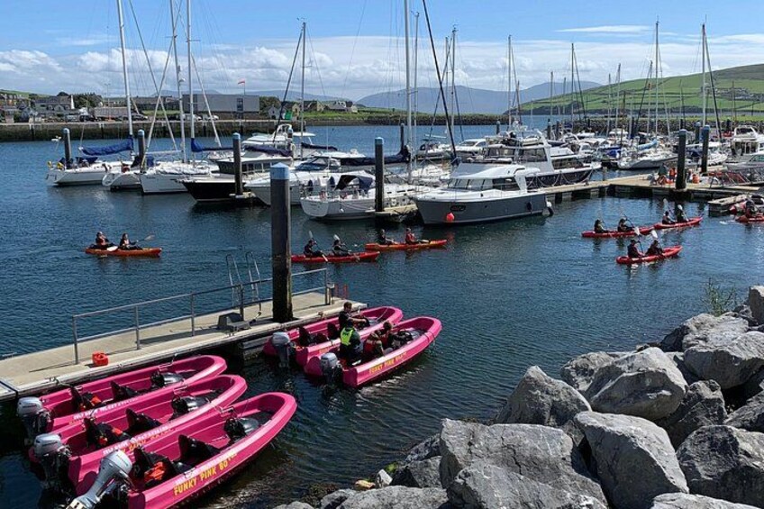 Dingle marina 2