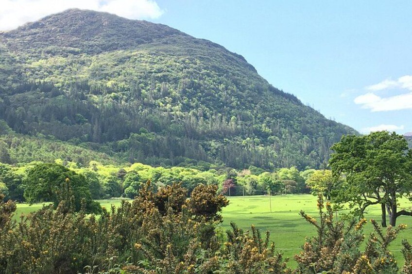 Un paysage montagneux, avec de vastes forêts et un ciel dégagé. 4