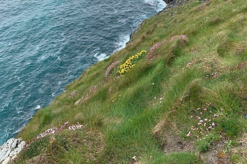 Cliffs of Moher