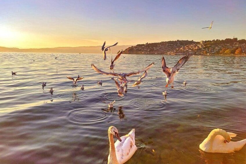 Ohrid City Walking Tour 4