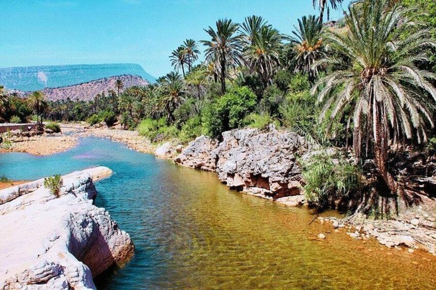 Private Guided Tour to the Paradise Valley and Taghazout village 2