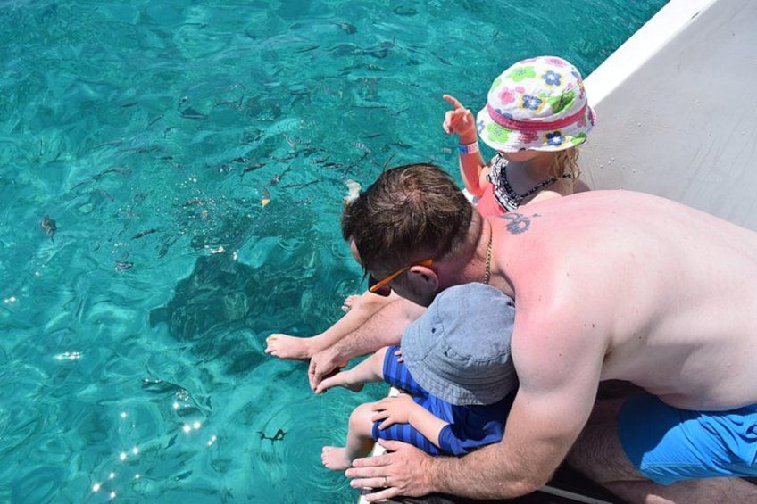 Comino Island: including Blue Lagoon, Crystal Lagoon & sea caves 2