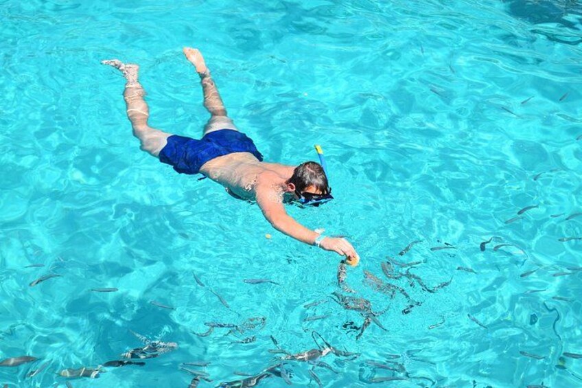 Snorkelling 4