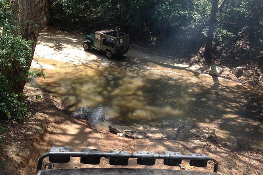 A jeep on a dirt path in a forested area with a stream. 4