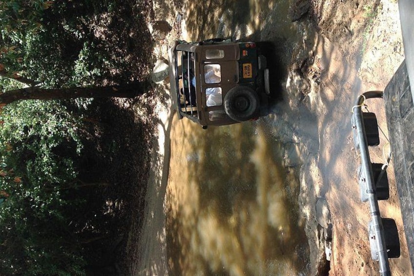 A vehicle on a dirt road surrounded by trees. 5
