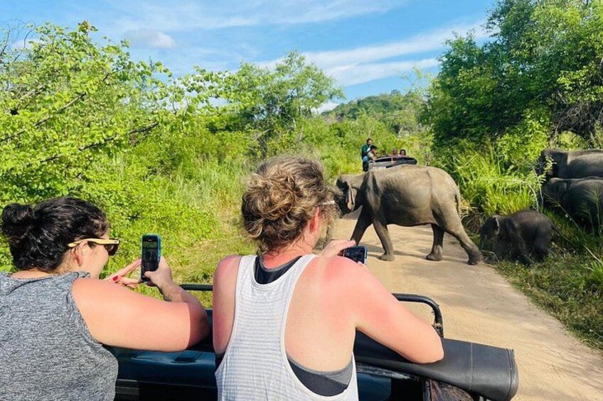 Eine Gruppe von Menschen in einem Safarifahrzeug beobachtet Elefanten auf einer unbefestigten Straße. 3