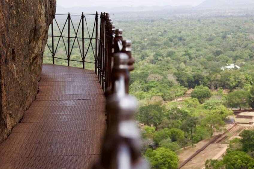 Pasarela de madera con barandilla de metal, con vista a un paisaje verde y exuberante. 2