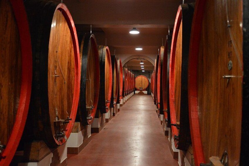 A row of wooden wine barrels in a dimly lit cellar. 3