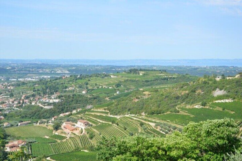 A rural landscape with terraced fields, a small village, and rolling hills. 3