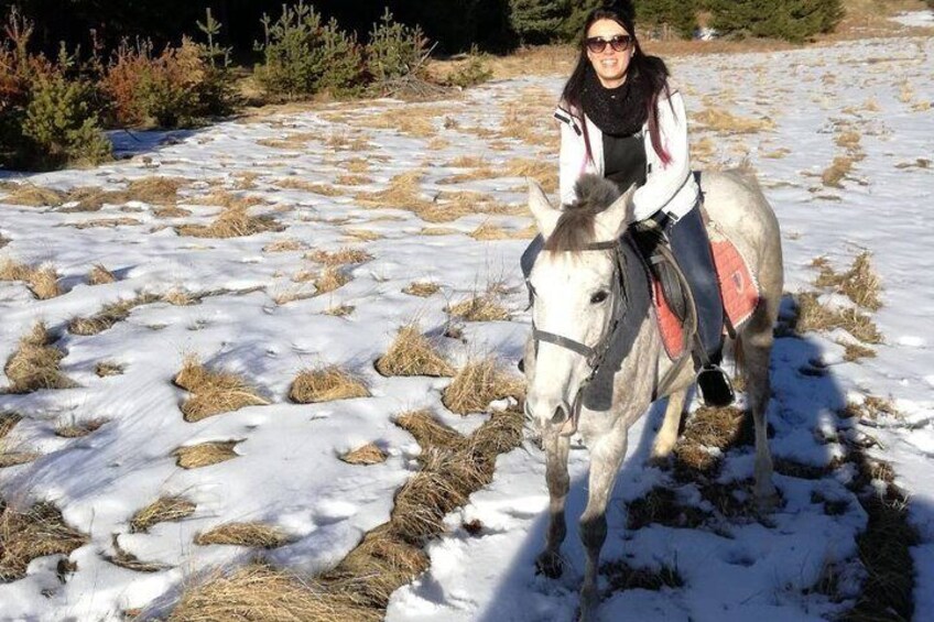 Private Horse Riding in Rhodope Mountains from Plovdiv