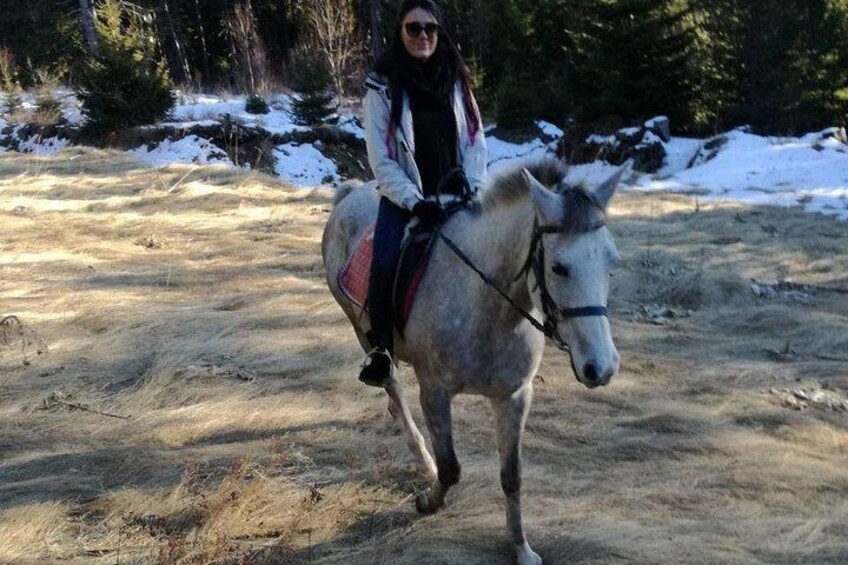 Private Horse Riding in Rhodope Mountains from Plovdiv