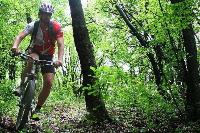 A person riding a mountain bike through a forested area with dense greenery and trees. 1