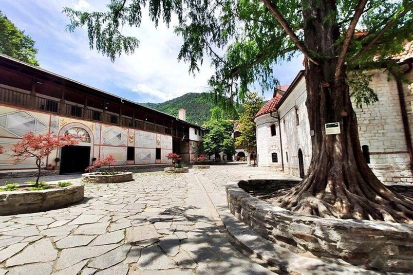 Un patio con pavimento de piedra, un árbol grande y edificios históricos. 2