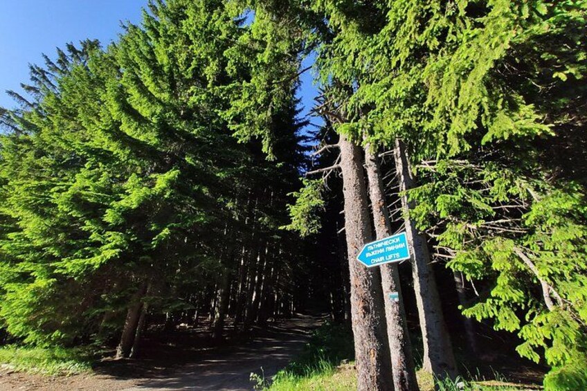 Private Vitosha Mountains Hiking with Black peak & Dragalevtsi Monastery 2
