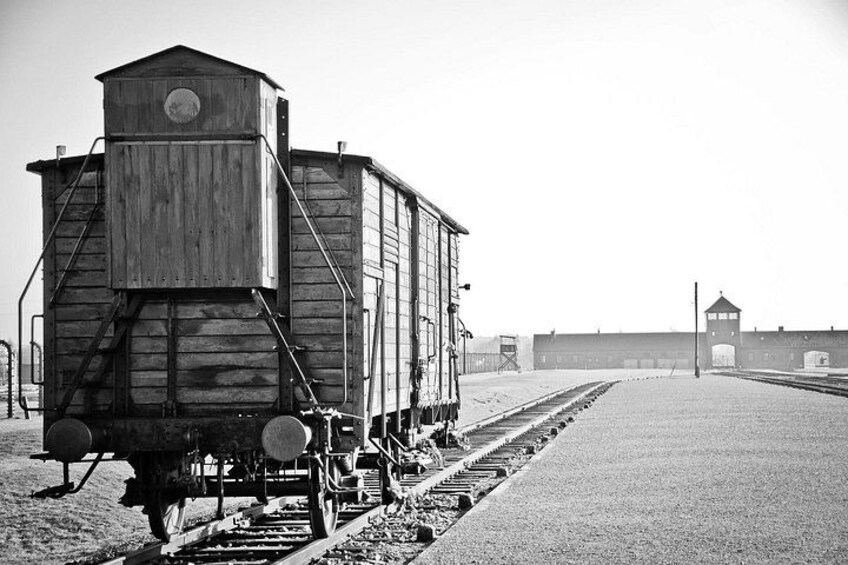 Auschwitz- Birkenau and Wieliczka Salt Mine in One Day 3