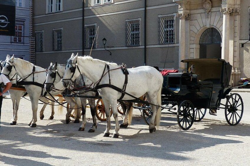 Private full day tour to Salzburg from Vienna with a local guide 3