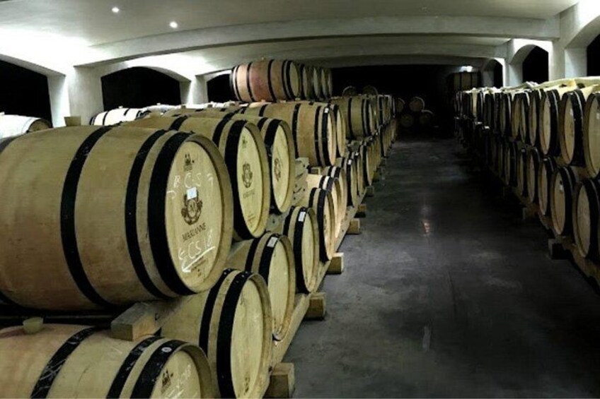 Stellenbosch: Half Day Wine Tour 2