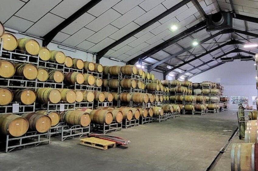Stellenbosch: Half Day Wine Tour 4