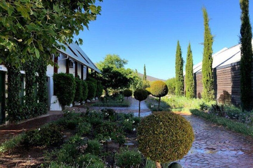 Stellenbosch: Half Day Wine Tour 5