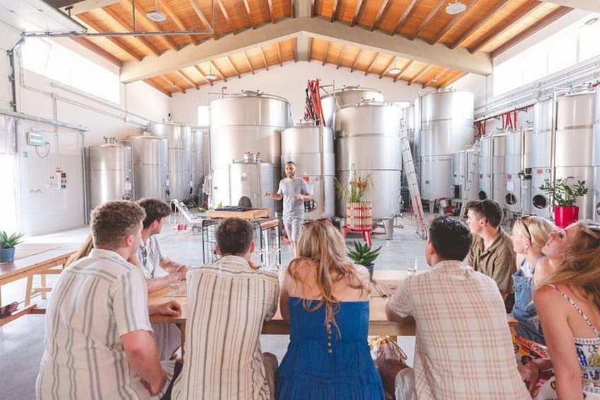 Embark on a Sicilian Wine Journey 5