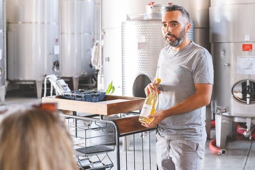 Embark on a Sicilian Wine Journey 4