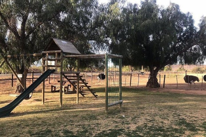 Skip the Line: Highgate Ostrich Farm Tour Ticket 2