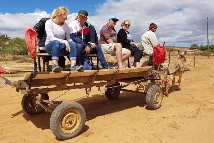 Skip the Line: Highgate Ostrich Farm Tour Ticket 2
