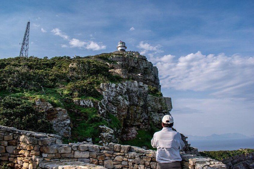 Cape of Good Hope and Boulders Penguins Day Tour from Cape Town 2