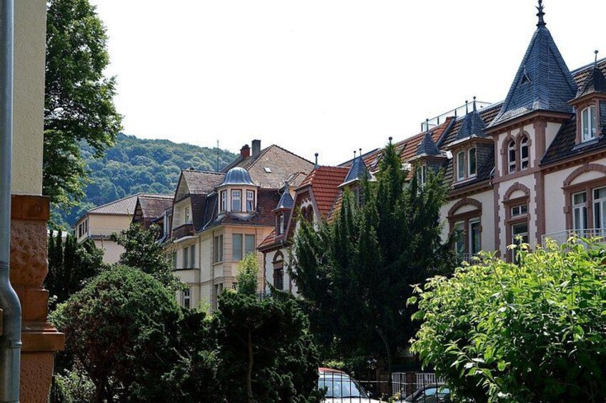 Heidelberg Old Town Private Walking Tour including Castle Visit 3
