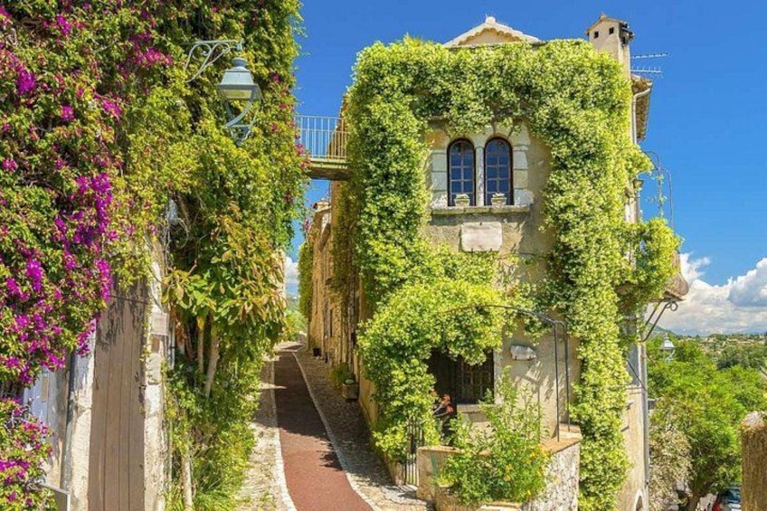 A narrow alley with a building covered in green vines, a red pathway, and a clear blue sky. 4