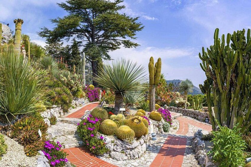Private tour: Monaco, Monte-Carlo, Cannes, St Paul de Vence & Eze 2
