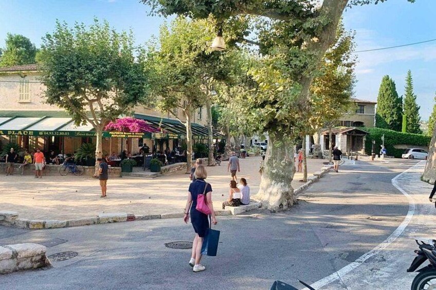 French Riviera and Provence Countryside Private Day Tour 4