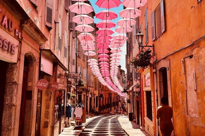 French Riviera and Provence Countryside Private Day Tour 3