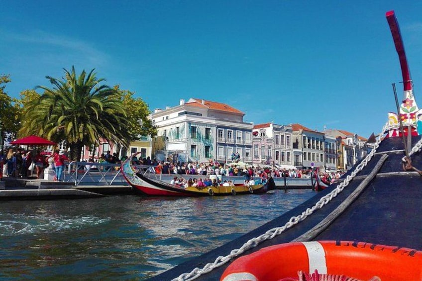 Aveiro, Costa Nova beach and Moliceiro Boat, half-day from Coimbra 1