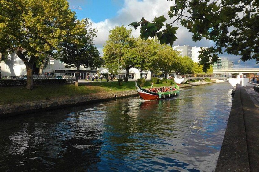 Aveiro, Costa Nova beach and Moliceiro Boat, half-day from Coimbra 5