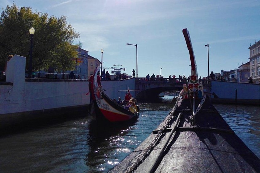 Aveiro, Costa Nova beach and Moliceiro Boat, half-day from Coimbra 3